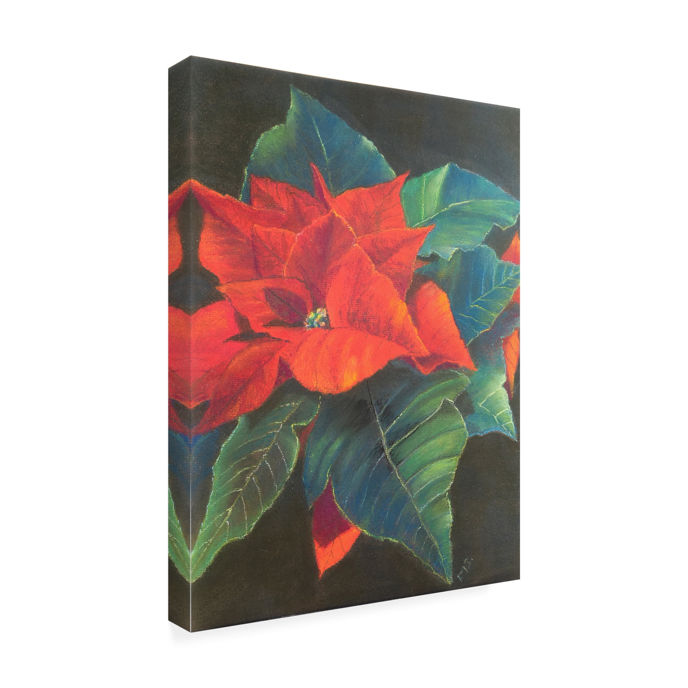 Margo Starkey 'Poinsettia, 2022' Canvas Art - 35 x 47 Inches