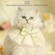 thumbnail image 4 of Cat Collar Floral Embroidery Lace Bibs Adjustable Kitten Scarf Cat Cute Decor Ornament Bow Collar, 4 of 5