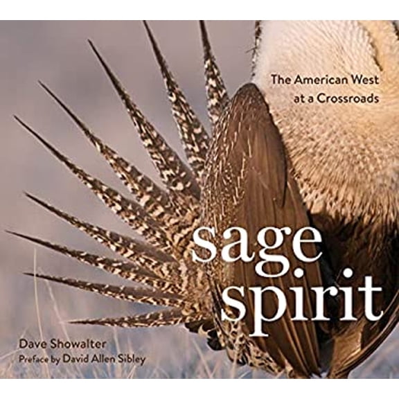 Sage Spirit : Landscape and Livelihood in the American West (Paperback) 9781594859168
