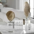 thumbnail image 6 of Uttermost Oyster 2-Piece Resin and Crystal Shell Sculpture Set in Aged Ivory, 6 of 6