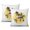 Hello Sunshine (39), variant on Farmhouse Style Hello Sunshine Throw Pillow Case 18x18 Inch Summer Pillow Covers - Square Pillow Covers for Couch Sofa Living Room Sofa & Couch Decor Pack of 2