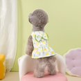 thumbnail image 2 of Adorable Pet Clothes for Cats & Small Dogs - Charming Spring & Autumn Wear Pet Dress, 2 of 5