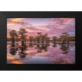 thumbnail image 2 of Podt, Martin 18x13 Black Modern Framed Museum Art Print Titled - Magnificent Sunset in the Swamps, 2 of 5