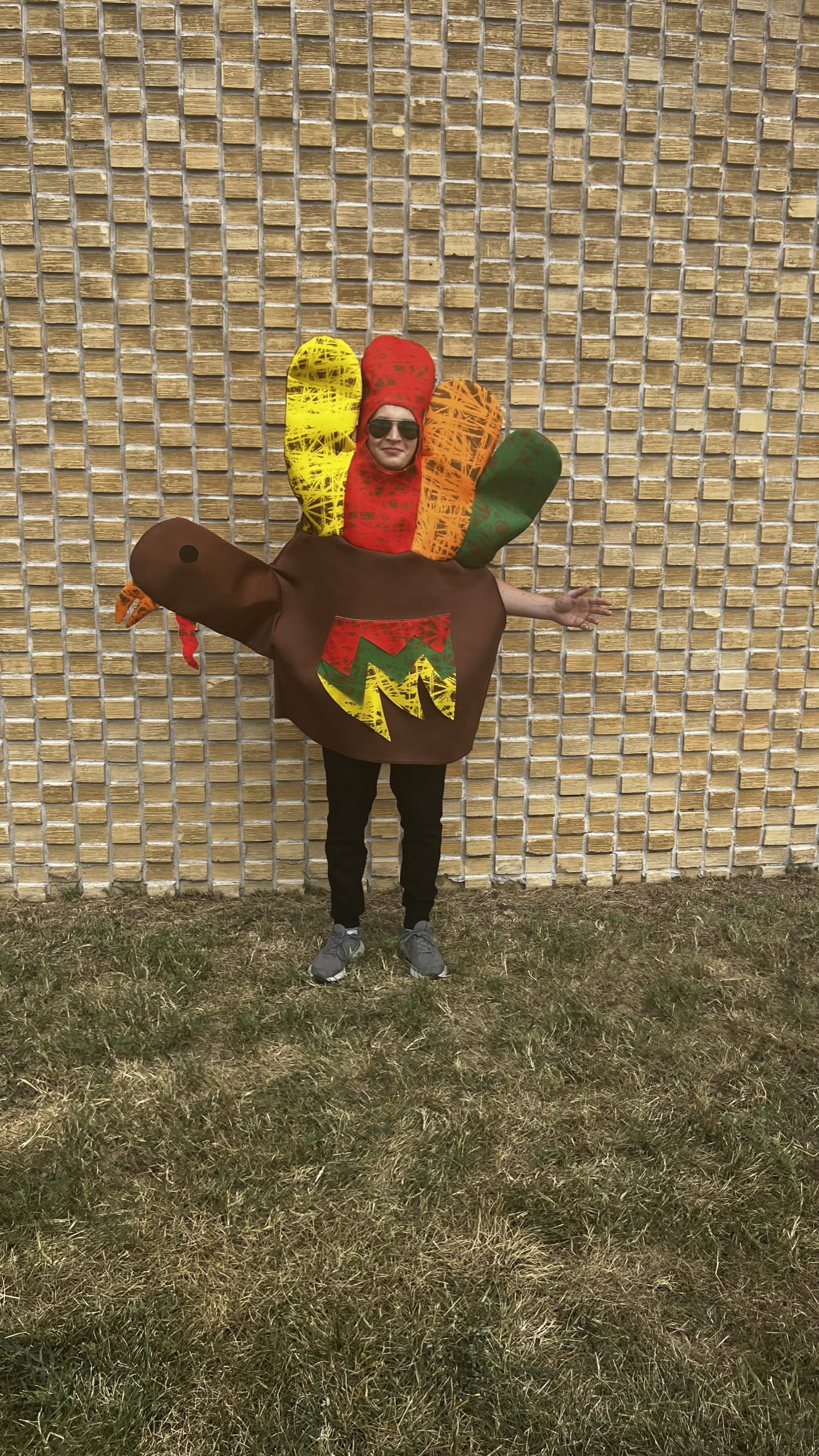 ハンドターキー 衣装、コスチューム 大人男性用 HAND TURKEY