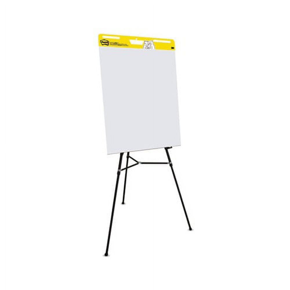 Self-Stick Easel Pads 25 x 30, White, 30 Sheets, 2/Carton