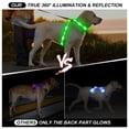 thumbnail image 2 of Chaleco para perro Light Up PzrLit LED recargable a prueba de agua, 2 of 6