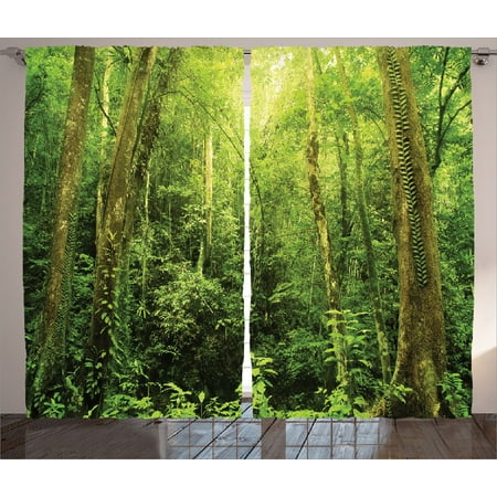 Dark Wood Window - Rainforest Decorations Curtains 2 Panels Set, Tropical Rainforest Landscape Malaysia Asia Green Tree Trunks Uncultivated Wood, Living Room Bedroom Accessories, By Ambesonne