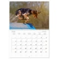 thumbnail image 5 of Flying dogs in agility (Monthly Wall Calendar 2026 16.5 x 23.4 (open)), CALVENDO 14 Month Calendar, 5 of 9
