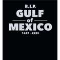 thumbnail image 2 of RIP Gulf of Mexico 1607-2025 Youth Navy Blue Long Sleee Hoodie-XL, 2 of 3