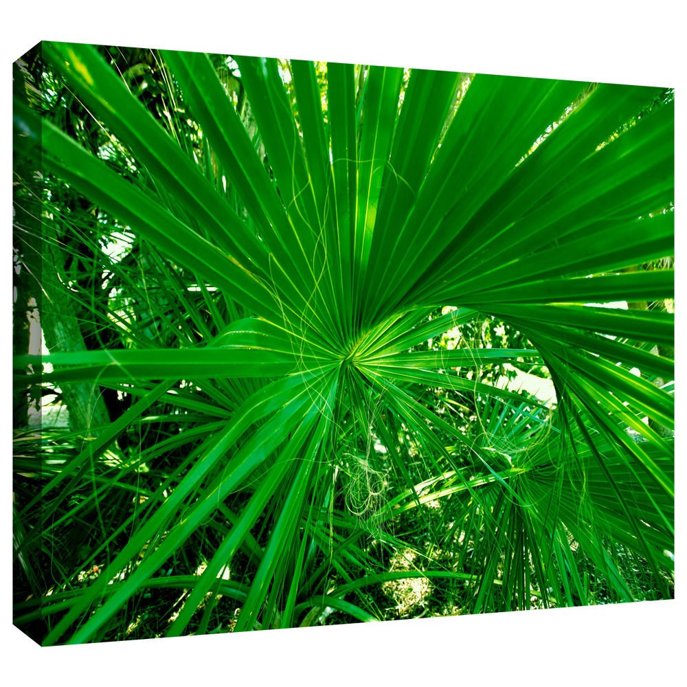 ArtWall Lindsey Janich "0103S" Gallery-Wrapped Canvas