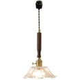 thumbnail image 1 of FSLiving Dimmable J-Type Track Light Pendants Restaurant Modern Clear Flower Shape Shade Glassblowing,Wood Socket Juno Track Mounted for Kitchen Island Bar Counter, (Walnut Wood), 1 of 9