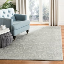 SAFAVIEH Evoke Ronald Bordered Area Rug, Silver/Ivory, 4' x 6'