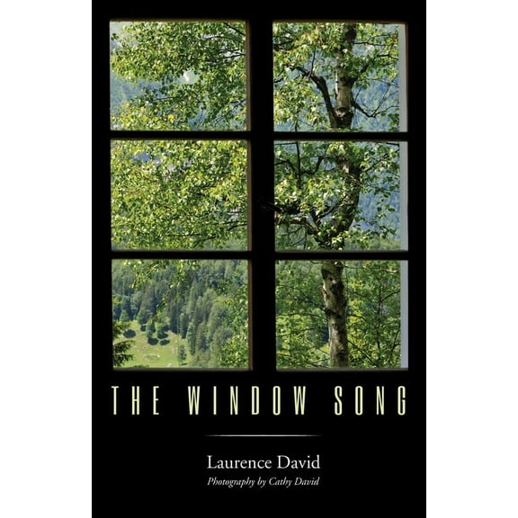 The Window Song (Hardcover)