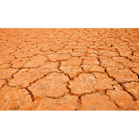Cracked Desert Floor - Canvas Print Drought Cracked Without Life Mud Dry Dried Desert Stretched Canvas 10 x 14