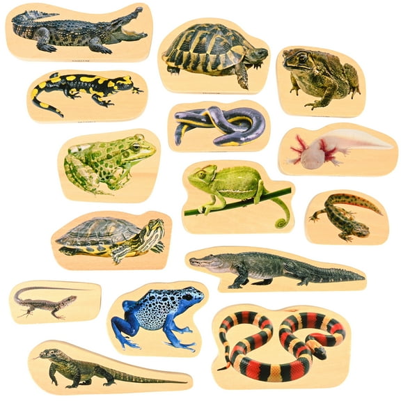 TickiT Wooden Reptile & Amphibian Blocks - Set of 15