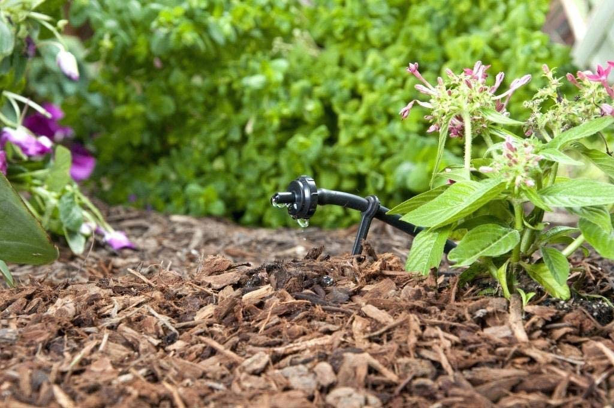 Drip Irrigation 1 GPH PC Button Drip Emitter - Professional Quality Pressure Compensating Barb Dripper (100)