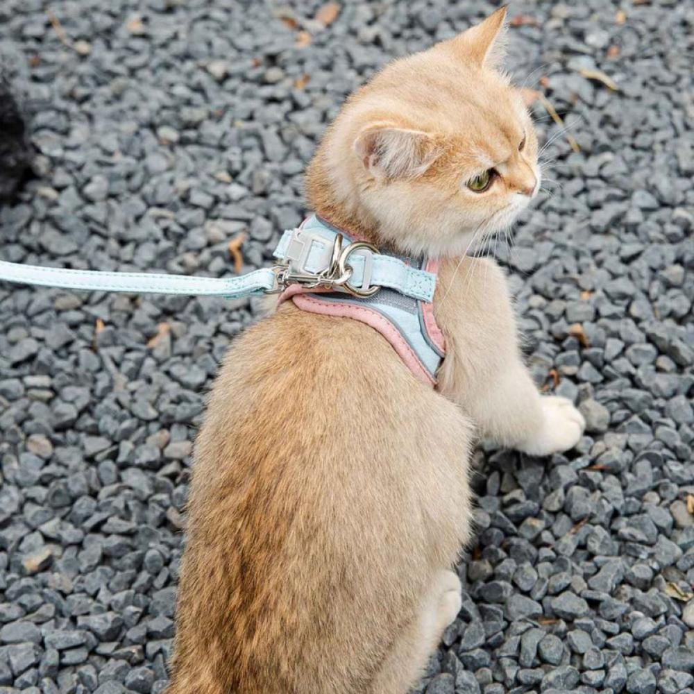 AVAIL Pet Cat Harness And Leash Set - Reflective Padded Dog Harness Small Pets Cat Puppy Vest for Chihuahua Bulldog Suede Adjustable Comfort No Pull Puppy Vest Harnesses Walking