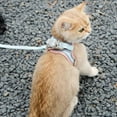 thumbnail image 5 of Ame Pet Cat Harness And Leash Set - Reflective Padded Dog Harness Small Pets Cat Puppy Vest for Chihuahua Bulldog Suede Adjustable Comfort No Pull Puppy Vest Harnesses Walking, 5 of 10