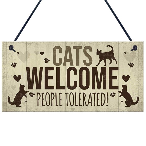 Usloyux Personalized Wooden Friendship Sign Plaque, Engraved Wood Wall Decor for Home, Rustic Wood Sign with Rope Hanging, Gift for Family Friend, 10x20cm