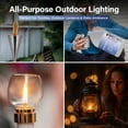 thumbnail image 4 of Firefly Fuel Clean Lamp Oil - Smokeless, Odorless, Eco-Friendly - 1 Gallon, Clear, 4 of 8