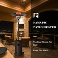 Pamapic Brown 48000 BTU Propane Patio Outdoor Heater