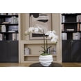 thumbnail image 4 of 23" Faux White Orchid Flower Arrangement | Realistic White Floral Display by Fiori Sempre, 4 of 7