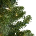 thumbnail image 5 of Northlight 3' Prelit Artificial Christmas Tree Canadian Pine - Clear Lights, 5 of 8
