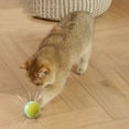 thumbnail image 5 of USB Rechargeable Vibrating Dog Ball - 2025 New Automatic Rolling Pet Toy for Cats & Dogs, Interactive Teeth Cleaning Play Toy with Random Bounce Motion, 5 of 6