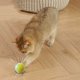 thumbnail image 4 of Juguete Interactivo Para Mascotas Juguete Rodante Automático Gato Automático Entrenamiento Interactivo Juguete Para Masticar Y Rechinar Los Dientes Juguete Divertido Para El Aburrimiento, 4 of 6