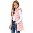 thumbnail image 3 of Boys Puff Vest Outwear with Hood Warm Sleeveless Casual Full Zip Kids Winter Jacket Pink 6, 3 of 8