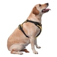 thumbnail image 2 of Lsque Cute Animals Dog Harness, No-Pull Pet Harness with 2 Leash Clips, Adjustable Soft Padded Dog Vest with Easy Control Handle for Large Dogs-X-Large, 2 of 9