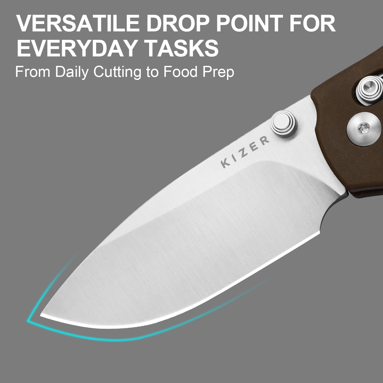 Kizer C01C 2.9 CD Folding Pocket Knife Nitro-V Blade Micarta Handle V3488.29CDA1