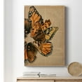 thumbnail image 6 of Winged Wreath I Premium Gallery Wrapped Canvas - Ready to Hang, 6 of 9