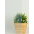 thumbnail image 5 of Fablon Frost Static Window Film, 5 of 5