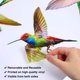 thumbnail image 5 of 6 piezas de adhesivos para ventana de colibrí de tamaño grande, adhesivos anticolisión para ventana para evitar golpes de pájaros en el cristal de la ventana, vinilo no adhesivo, pegatinas de col, 5 of 5