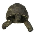 thumbnail image 4 of Marine Reptile Lifelike Galapagos Tortoise Taxidermy Replica Figurine 8"L, 4 of 9