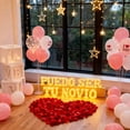 thumbnail image 4 of Be My Girlfriend" LED Light-Up Letters Set - 14 LED Letters & 1000 Rose Petals for Valentine's Day Proposal Decor, 4 of 6
