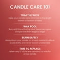 thumbnail image 3 of Yankee Candle Large Tumbler Scented Candle, White Strawberry Bellini, 20 oz, 3 of 8