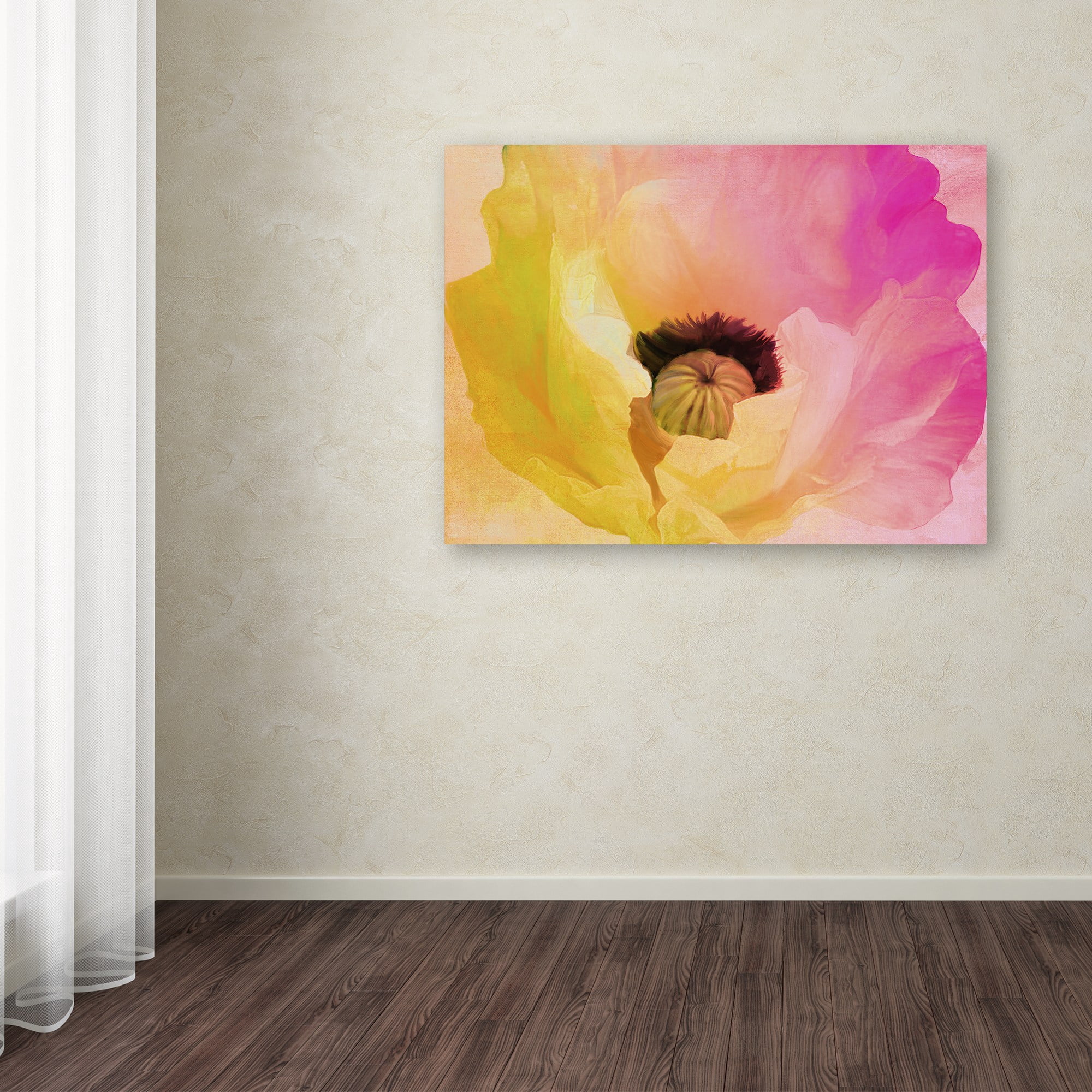 Trademark Fine Art "Poppy Gradient II" Canvas Art by Color Bakery