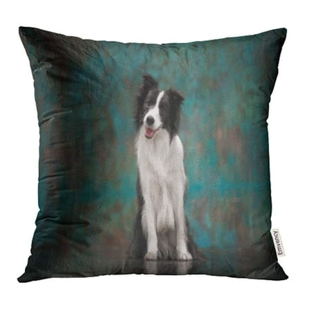 - YWOTA Animal Border Collie Studioborder Studio Around Black Breed Canine Christmas Color Pillow Cases Cushion Cover 18x18 inch