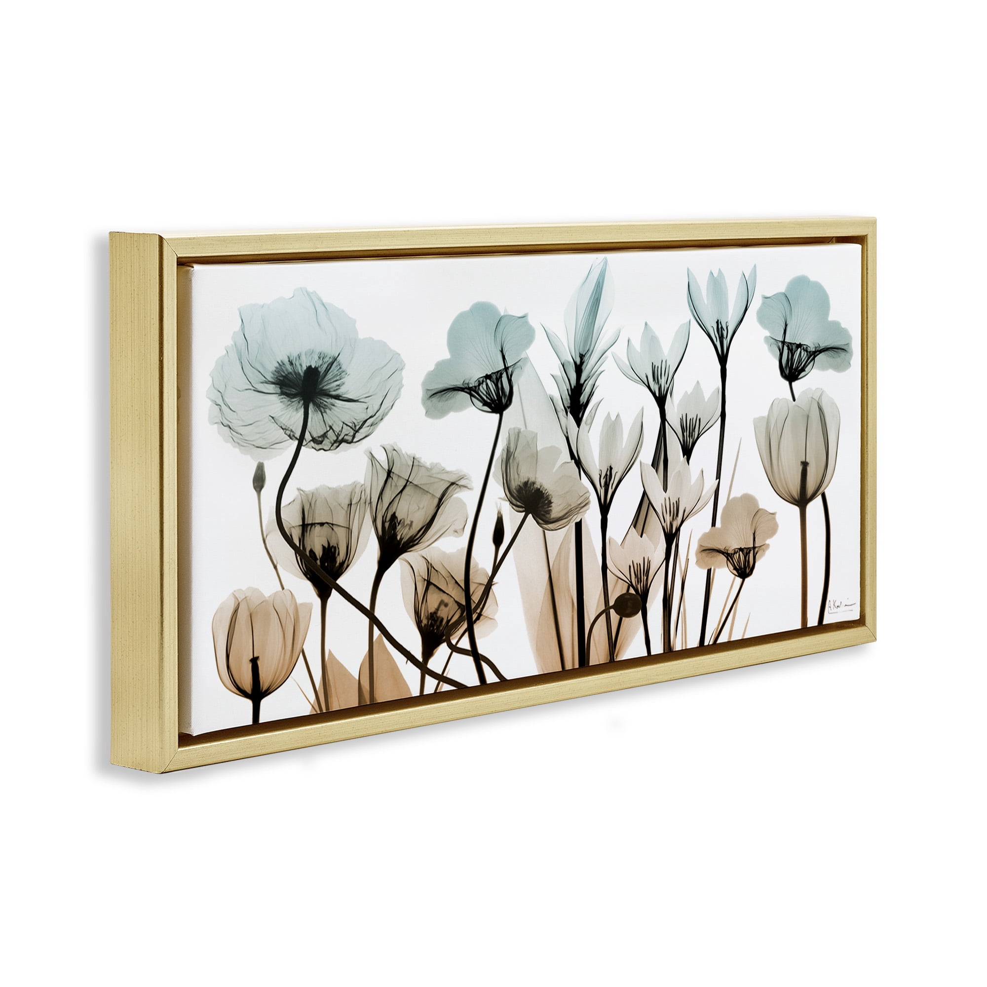 Stupell Industries Mixed Transparent Flowers Botanical & Floral Photography Gold Floater Framed Canvas Art Print Wall Art, 25 x 11