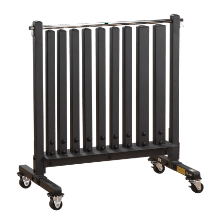 Body Solid GDR500 Commercial Dumbbell Rack