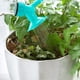 thumbnail image 5 of Convertidor de botella de plástico con boquilla de riego de doble cabezal para regar plantas o flores, 5 of 14