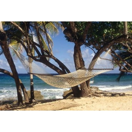 Hammock tied between trees North Shore beach St Croix US Virgin Islands Stretched Canvas - Alison Jones  DanitaDelimont (26 x