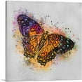 thumbnail image 1 of ARTCANVAS Orange Purple Butterfly Wings Insect Canvas Art Print - Size: 36" x 36" (1.50" Deep), 1 of 9