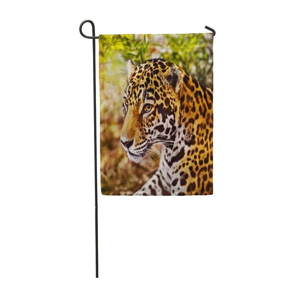 LADDKE Xcaret Jaguar Panthera Onca Cat Jungle Big Mexico Park Garden Flag Decorative Flag House Banner 12x18 inch