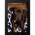 thumbnail image 2 of Millet, Karyn 13x18 Black Modern Framed Museum Art Print Titled - Labrador, 2 of 5