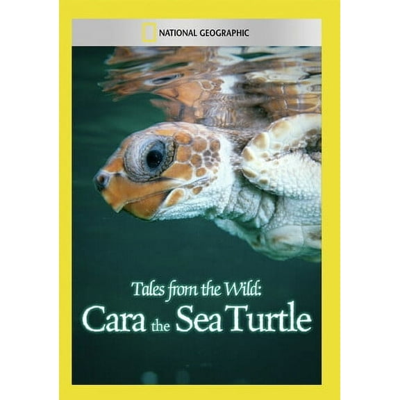 Tales From the Wild: Cara the Sea Turtle (DVD), National Geographic, Documentary