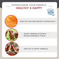 thumbnail image 2 of Rinlex Dried Mealworms 2 lb- High Protein Treat for Birds, Bluebird, Gecko, Lizard, and Poultry, 2 of 8