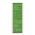 thumbnail image 6 of Well's Oil Perfume Roll-On Body Oil 10ml (Midnight Sugar), 6 of 15